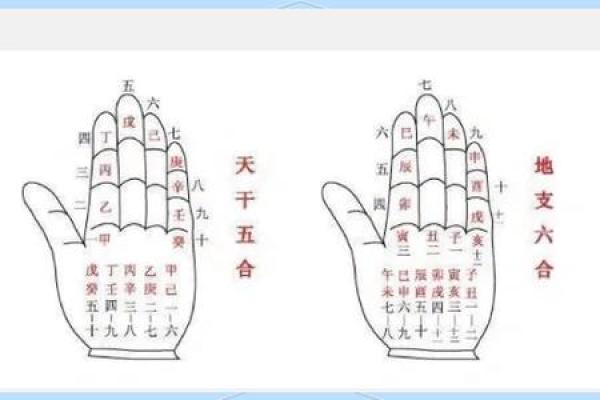 算命顺序和步骤图