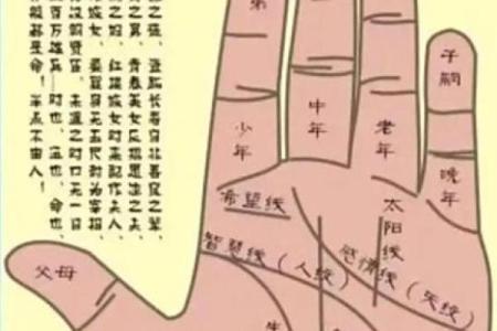 算命获得天命点