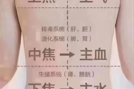 女人背部痣相图解算命