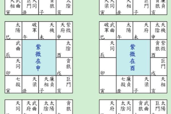 紫薇斗数命宫天梁