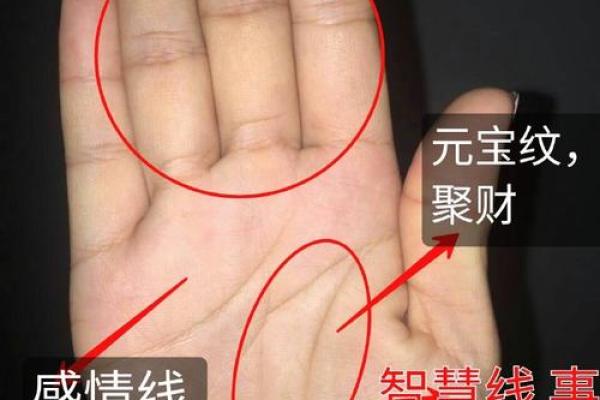 从人的腿部看相算命 从人的腿部看相算命