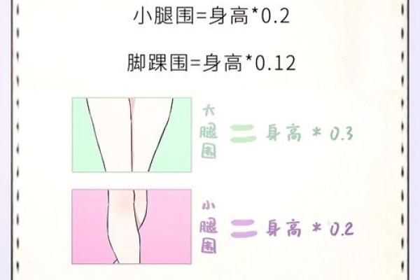 从人的腿部看相算命 从人的腿部看相算命