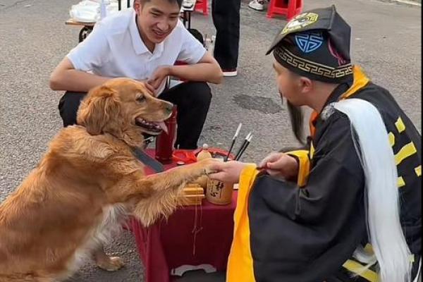 梦见算命大师 梦见算命大师