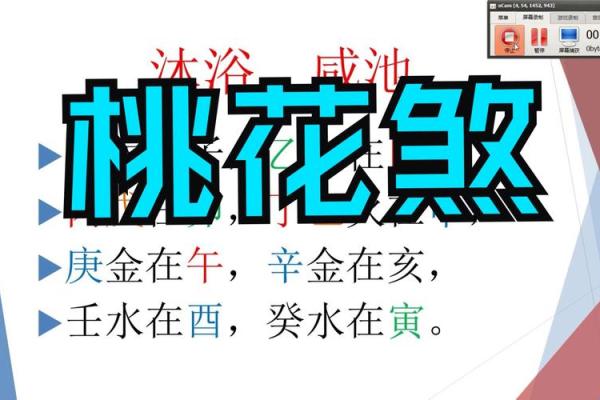 桃花八字 桃花八字
