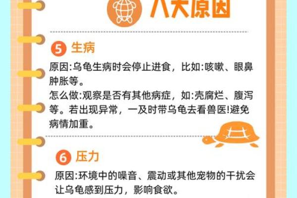 哪个生肖不宜养龟风水好不好 哪个生肖不宜养龟风水好不好