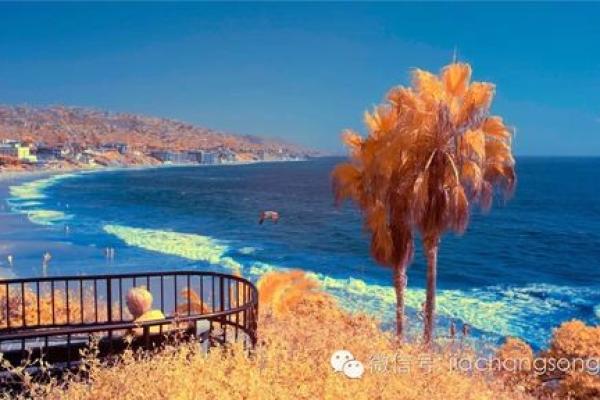 外国人信不信风水？