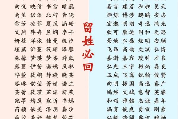 高分取名-2024年元旦节出生的宝宝八字起名字 高分取名-2024年元旦节出生的宝宝八字起名字
