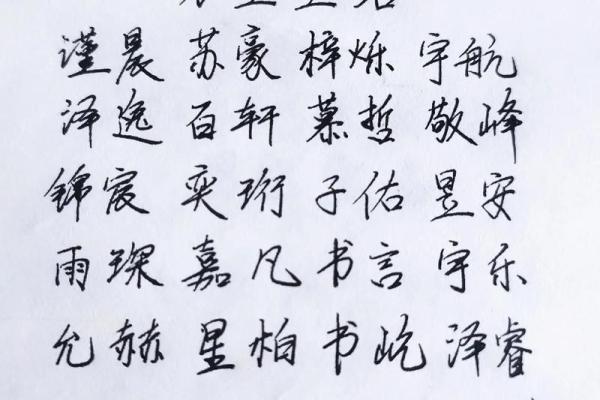 高分取名-2024年元旦节出生的宝宝八字起名字 高分取名-2024年元旦节出生的宝宝八字起名字