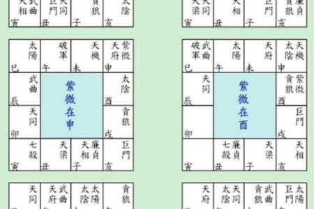 紫薇斗数命宫天梁