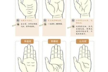 量指算命多神奇？手指长度看命运
