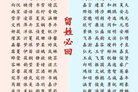 高分取名-2024年元旦节出生的宝宝八字起名字