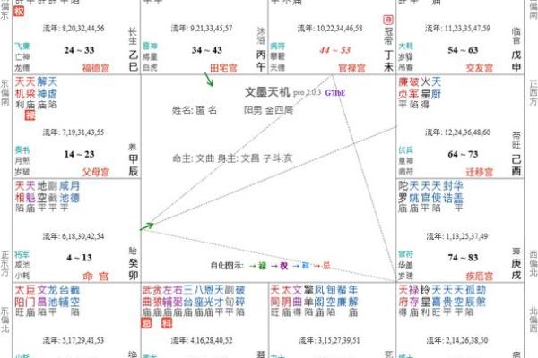 紫薇斗数时空技法 紫薇斗数时空技法