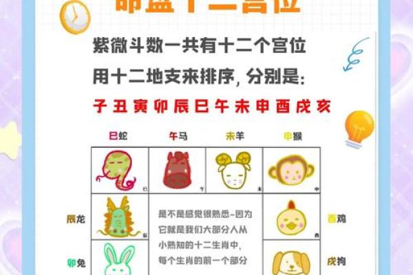 紫薇斗数看面相 紫薇斗数看面相