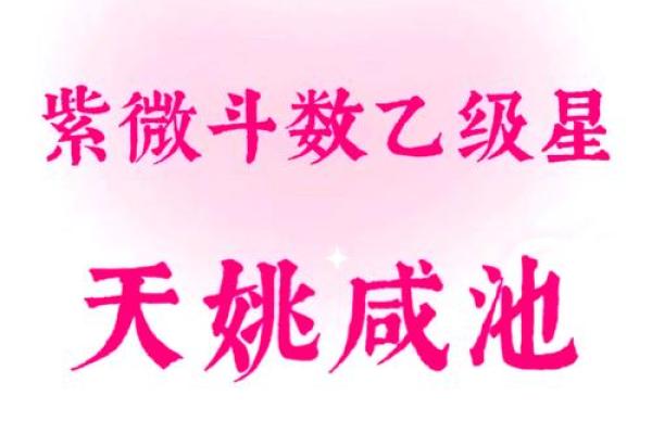 紫薇斗数事业宫有天姚