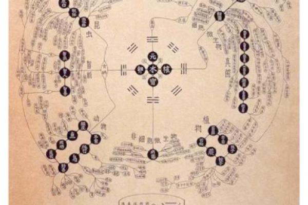 盲人算命节气深浅