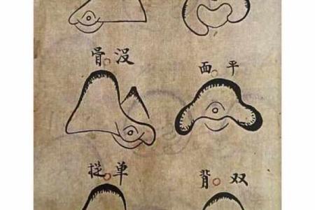 户外风水教学学习如何利用自然地理环境提升生活质量