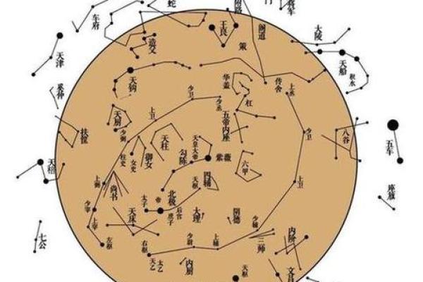 紫薇斗数命宫主星太阳 紫薇斗数命宫主星太阳