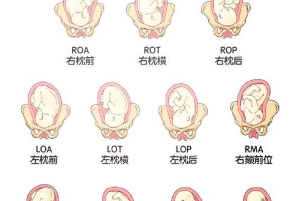 不同部位的胎记算命分析
