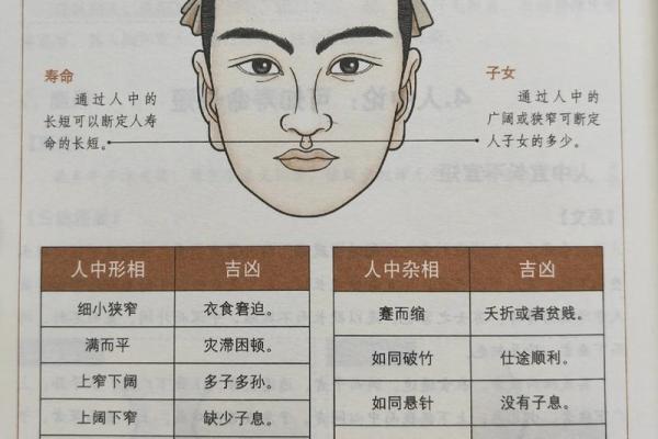 五官看面相算命图解男 男人五官面相大全 五官看面相算命图解男 男人五官面相大全