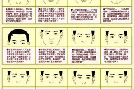 五官看面相算命图解男 男人五官面相大全