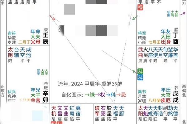 紫微斗数天府在疾厄宫