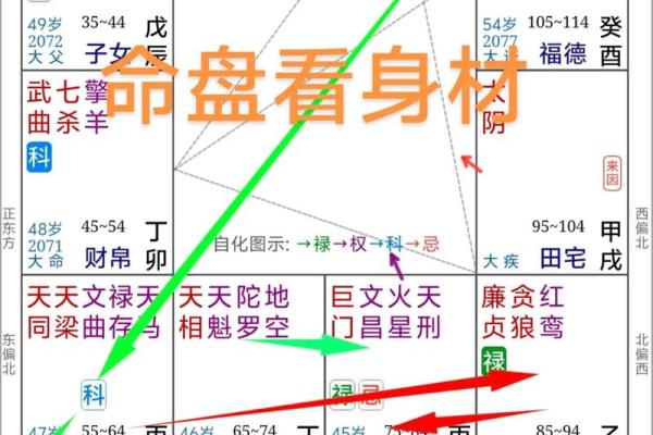 紫微斗数天府在疾厄宫