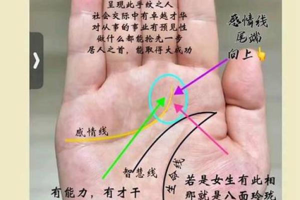 图解：手相纵欲线算命
