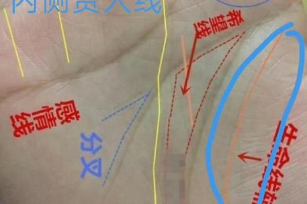 看手相算命生命线 手相图解生命线怎么看