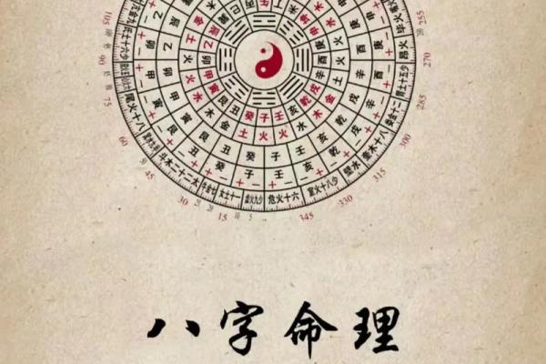 八字预测学 八字预测学