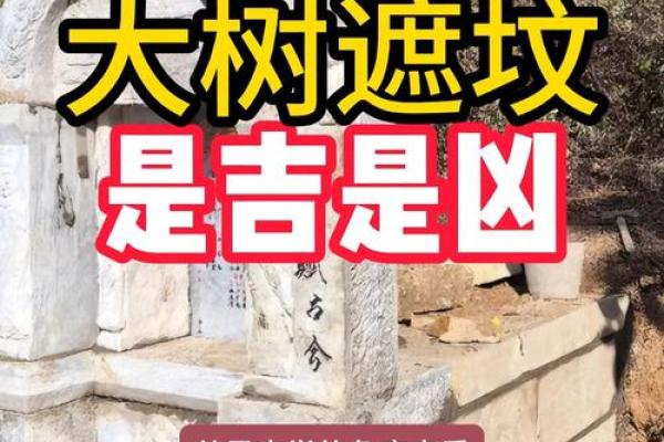 关于坟墓风水那些你不知道的事 关于坟墓风水那些你不知道的事
