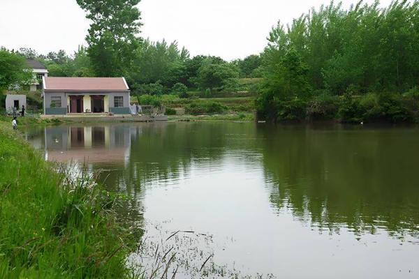 池塘填埋造房子风水 池塘填埋造房子风水