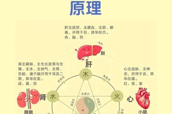 从易经详谈，风水与中医之间的关系！