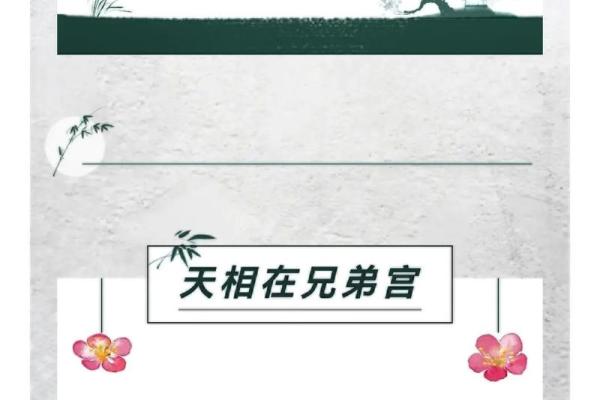 神巴巴紫薇斗数下载