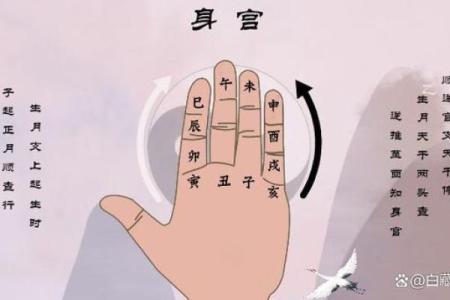 四柱在线八字排盘系统