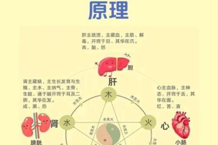 从易经详谈，风水与中医之间的关系！