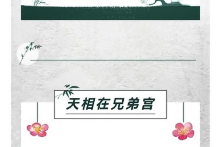 神巴巴紫薇斗数下载