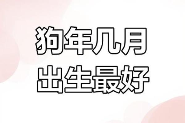 六月份出生的属狗男孩取什么名字好？姓名