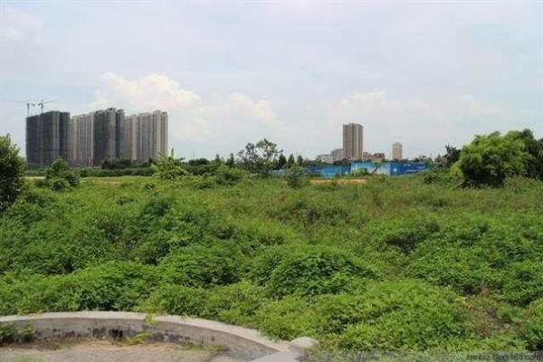 湛江买房子风水好吗贴吧 湛江买房子风水好吗贴吧