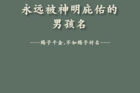 属鸡申时出生的男孩该如何起名，宜用什么字姓名
