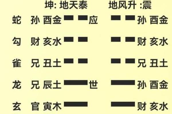 白虎在八字中代表什么意思 白虎八字代表何意