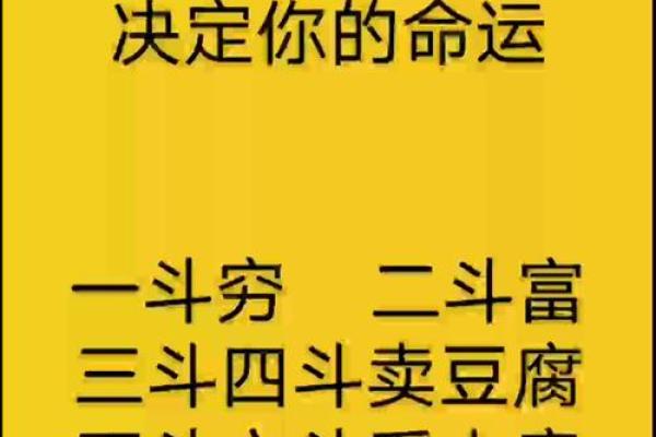 4个斗的男人是什么命 手指斗的数量代表什么命 4个斗的男人是什么命 手指斗的数量代表什么命