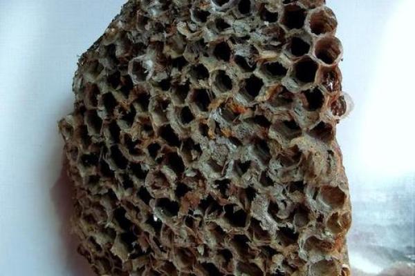 住房蜂巢风水好吗 住房蜂巢风水好吗