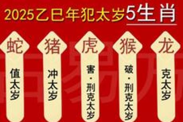 童子命排盘测算 童子命排盘测算