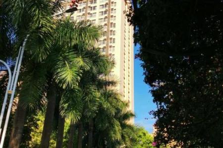 住房蜂巢风水好吗