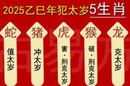 童子命排盘测算