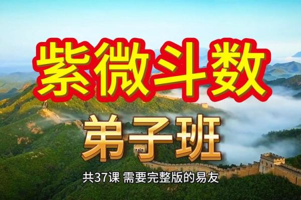 香港紫微斗数 香港紫微斗数培训班？