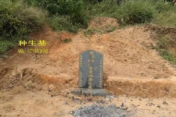 葬到风水宝地的预兆