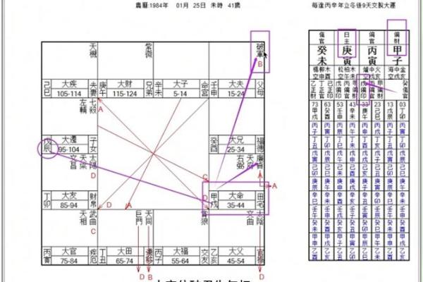 命格紫薇斗数 命格紫薇斗数