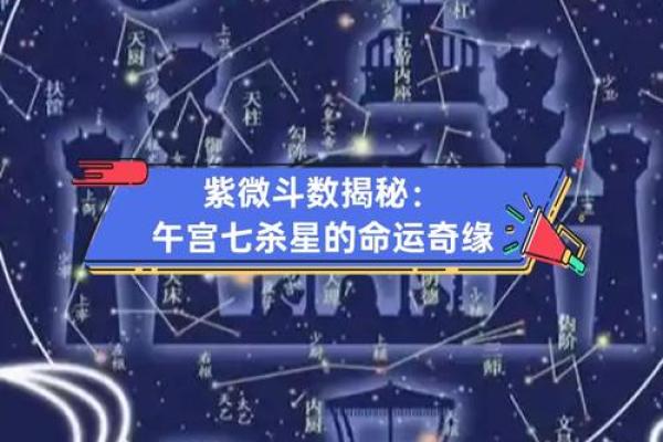 紫薇斗数星宫图 紫薇斗数星宫图