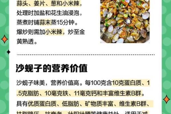 哪种贝壳风水作用